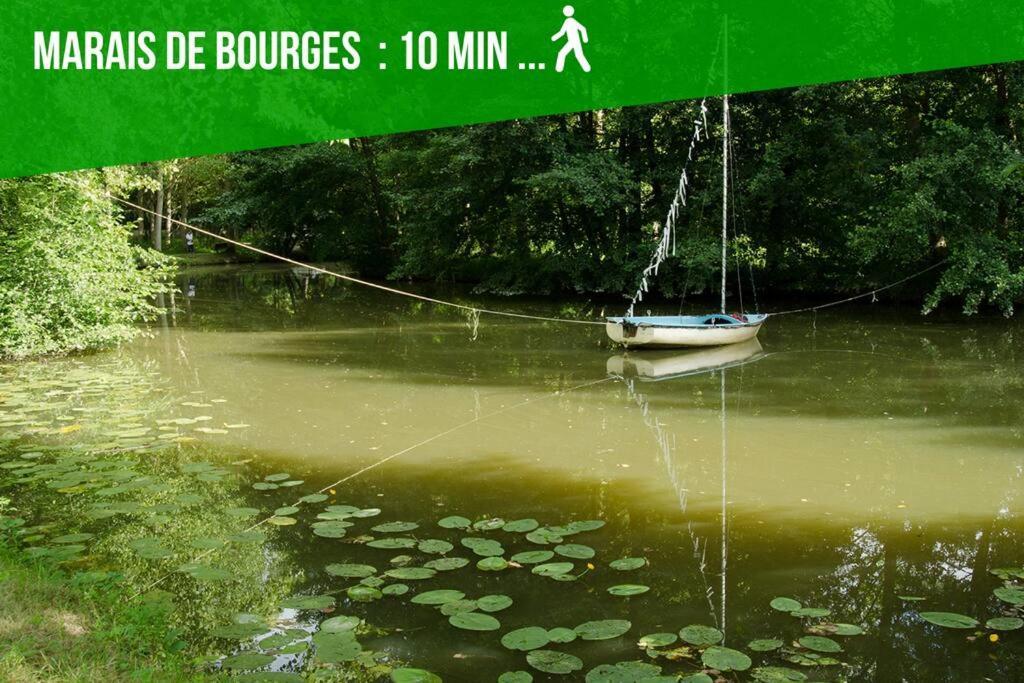 Apartamento Les Quatre Piliers - 1 Min Palais Jacques Coeur Bourges Exterior foto